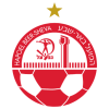 主队