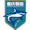 主队